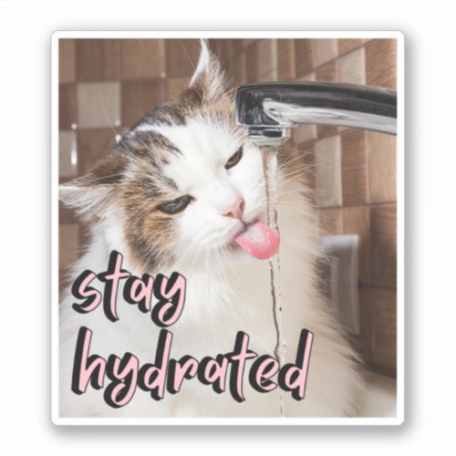 Stay Hydrated Water Hydrate Typography Health  Sticker