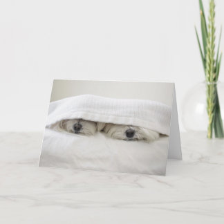 Stay in Bed Card