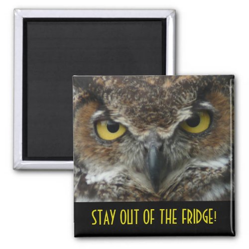 Stay Out Of The Fridge _  Intimidating Owl Magnet