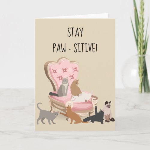 Stay Paw_sitive Positive Funny Cat Thinking of You Card