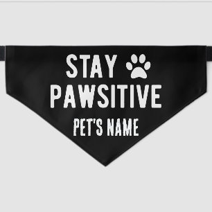 Stay Pawsitive Custom Name Black Pet Bandana Collar