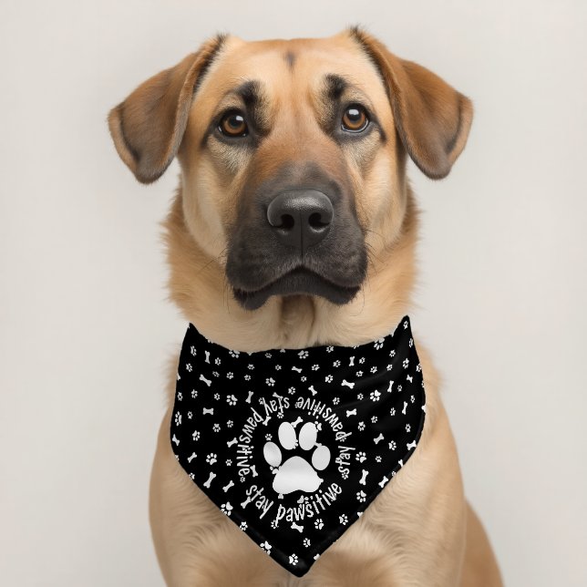Stay Pawsitive Dog Bones Pawprints Pet Bandana Collar (Dog 2)