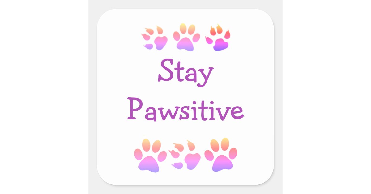 Stay Pawsitive Quote Square Sticker | Zazzle