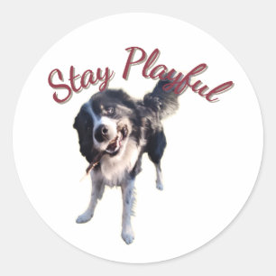 Stay Playful Dog Sticker