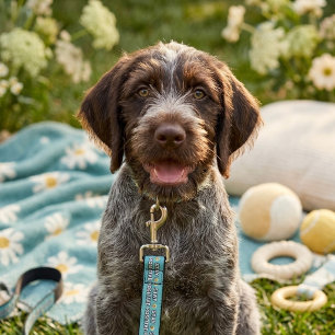 Stay Positive Pet Leash