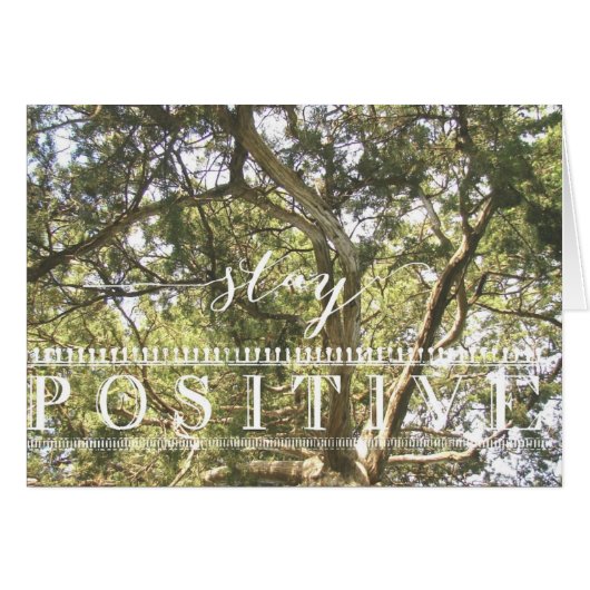 Stay Positive Tree Cards (Front Horizontal)