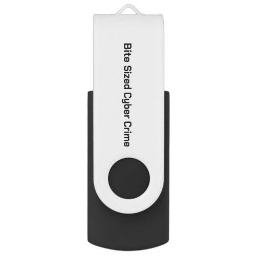 Stay Secure Flash Drive
