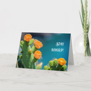 Stay sharp - Bright Cactus Flower photo birthday Card