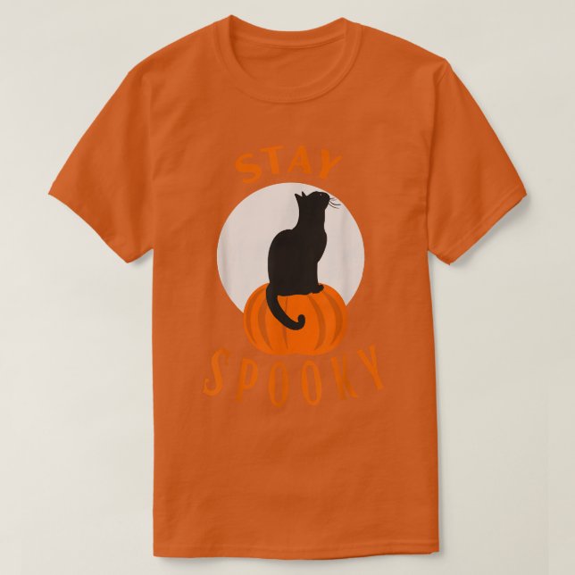 Stay Spooky Cute Black Cat Sit on Pumpkin Hallowee T-Shirt (Design Front)