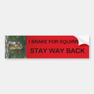 STAY WAY BACK BUMPER STICKER