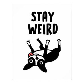 Stay Weird Boston Terrier Funny Dog Poster