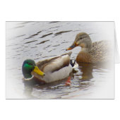 Staying Close - Mallard Duck Pair (Front Horizontal)