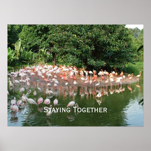 staying together poster (Front)