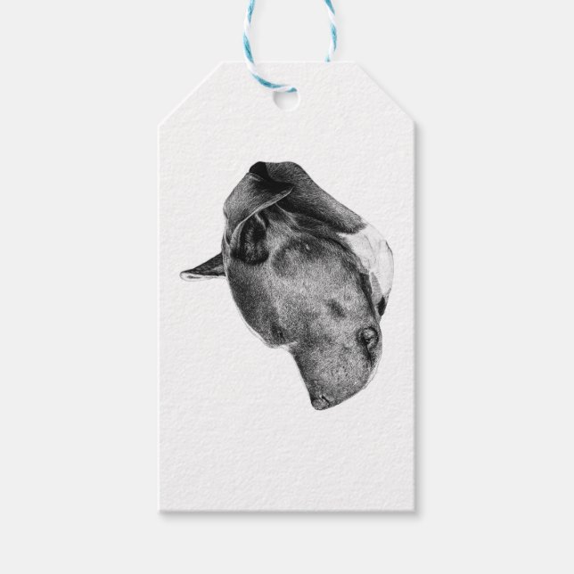 steady gaze finish gift tags (Front)