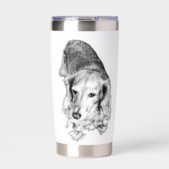 Steady Gaze, Slow Sips – Long-Haired Dachshund Insulated Tumbler (Front)