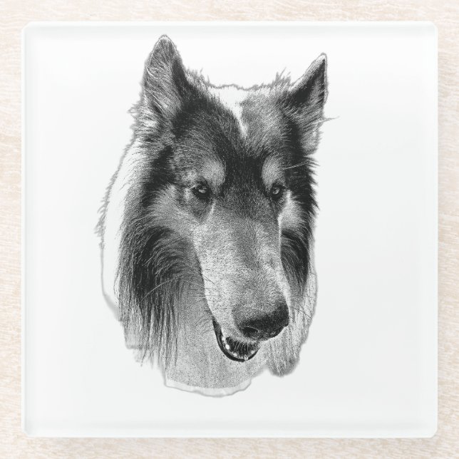 Steady Surface – Collie Glass Coaster (Front)