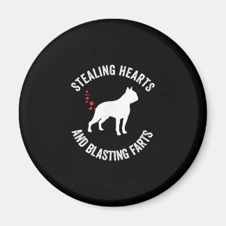 Stealing Hearts And Blasting Farts Boston Terrier Magnet