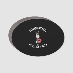 Stealing Hearts Blasting Farts Boston Terrier Car Magnet