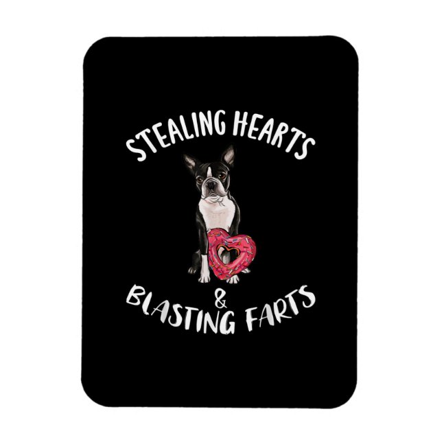 Stealing Hearts Blasting Farts Boston Terrier Magnet (Vertical)
