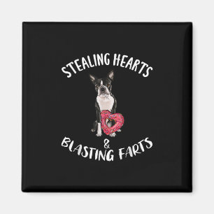 Stealing Hearts Blasting Farts Boston Terrier Magnet