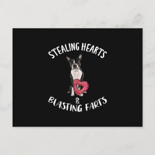 Stealing Hearts Blasting Farts Boston Terrier Postcard
