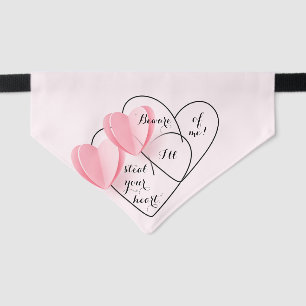 Stealing Your Heart Pet Bandana Collar