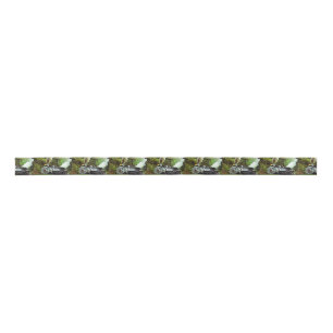 Steam Engine Satin Ribbon