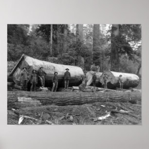 Steam Logging in the Cascades of Washington Stat Poster