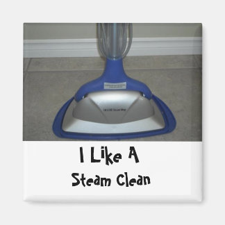 Steam Mop Magnet