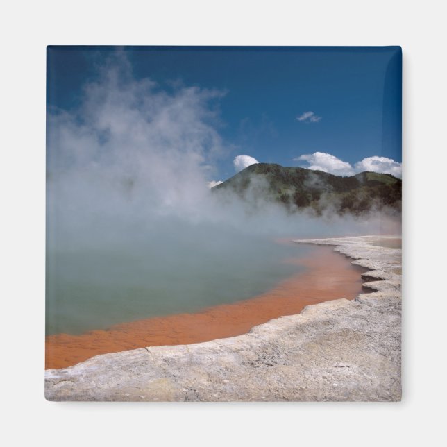 Steam rising from Champagne Pool at WAI-O-TAPU Magnet (Front)