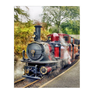 STEAM TRAIN ACRYLIC PRINT