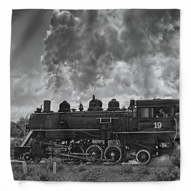 STEAM TRAIN BANDANA (Front)