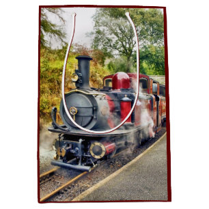 STEAM TRAIN MEDIUM GIFT BAG