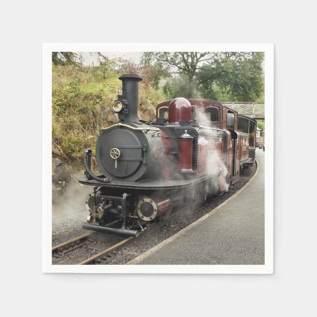 STEAM TRAIN NAPKINS (Front)