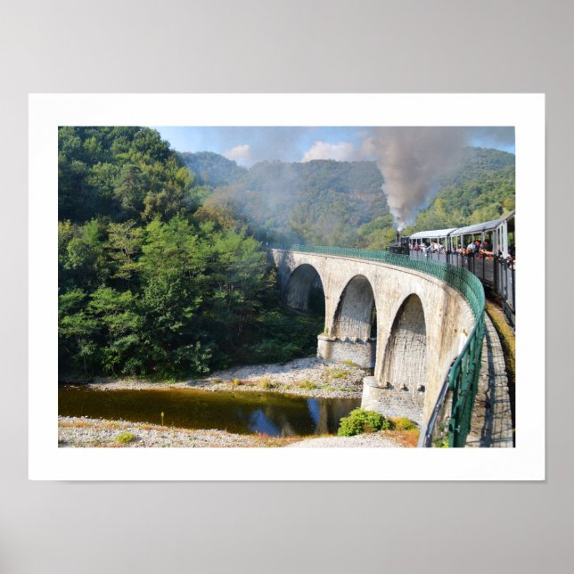 Steam train on bridge poster (Front)