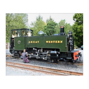 STEAM TRAINS ACRYLIC PRINT