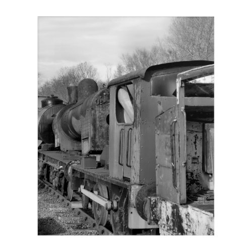 STEAM TRAINS ACRYLIC PRINT