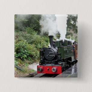 STEAM TRAINS BUTTON