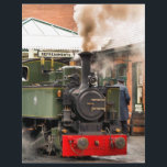 STEAM TRAINS FLYER<br><div class="desc">Wales, the land of the little steam trains. These little Welsh steam trains were mainly used originally for hauling slate from the quarries..These beautiful little green steam trains from the Talyllyn Railway, with steam and smoke billowing, are a fine example of British historical engineering, all brought to life with Zazzle's...</div>