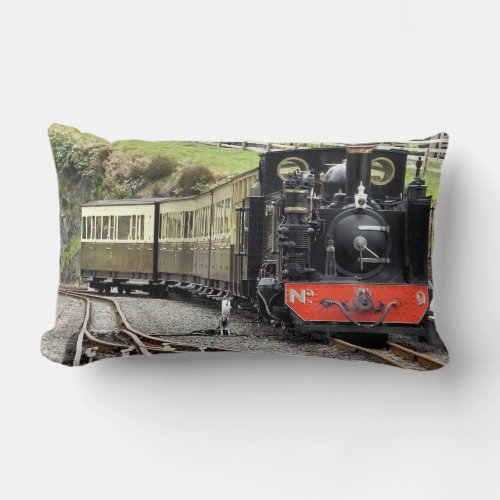 STEAM TRAINS LUMBAR PILLOW