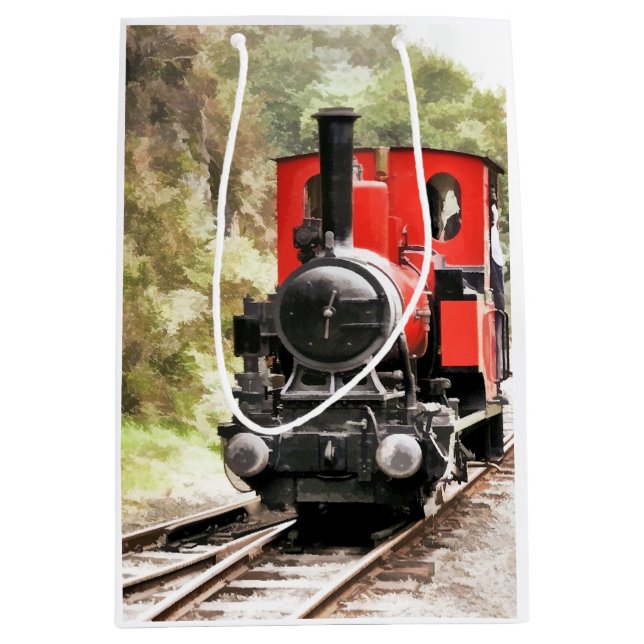STEAM TRAINS MEDIUM GIFT BAG (Front)