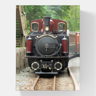 STEAM TRAINS PAPERWEIGHT