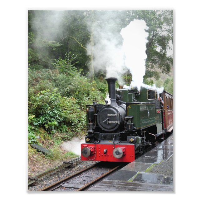 STEAM TRAINS PHOTO PRINT (Front)