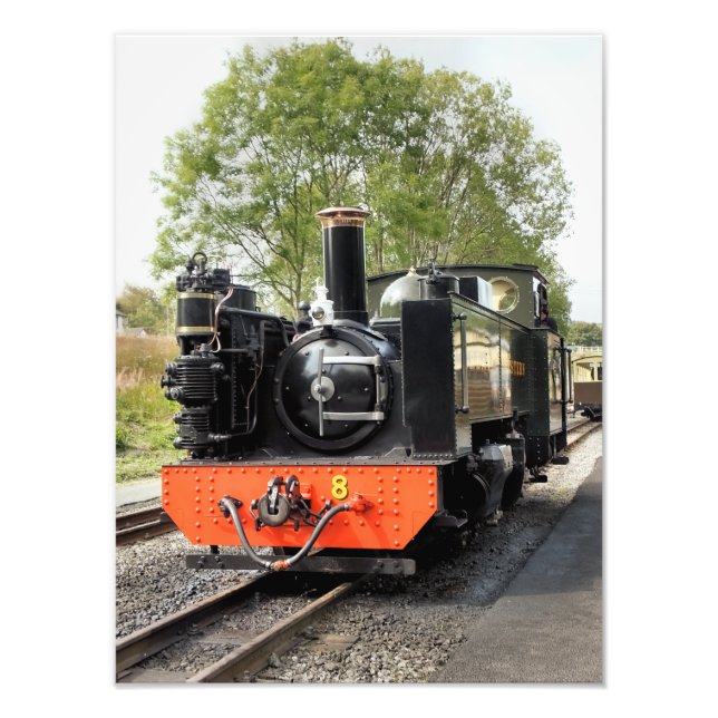 STEAM TRAINS PHOTO PRINT (Front)