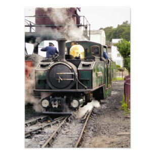 STEAM TRAINS PHOTO PRINT