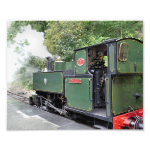 STEAM TRAINS PHOTO PRINT