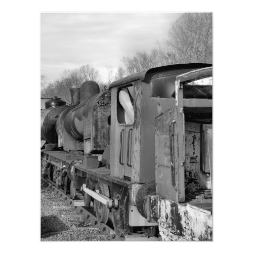 STEAM TRAINS PHOTO PRINT