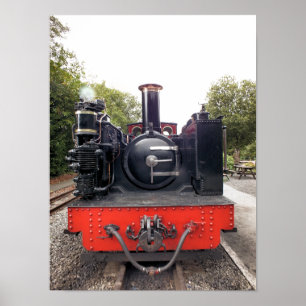 STEAM TRAINS POSTER