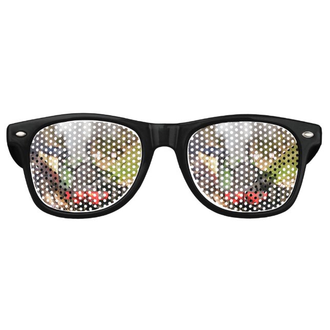 STEAM TRAINS RETRO SUNGLASSES (Front)