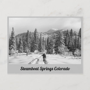 Steamboat Springs - Colorado Postcard